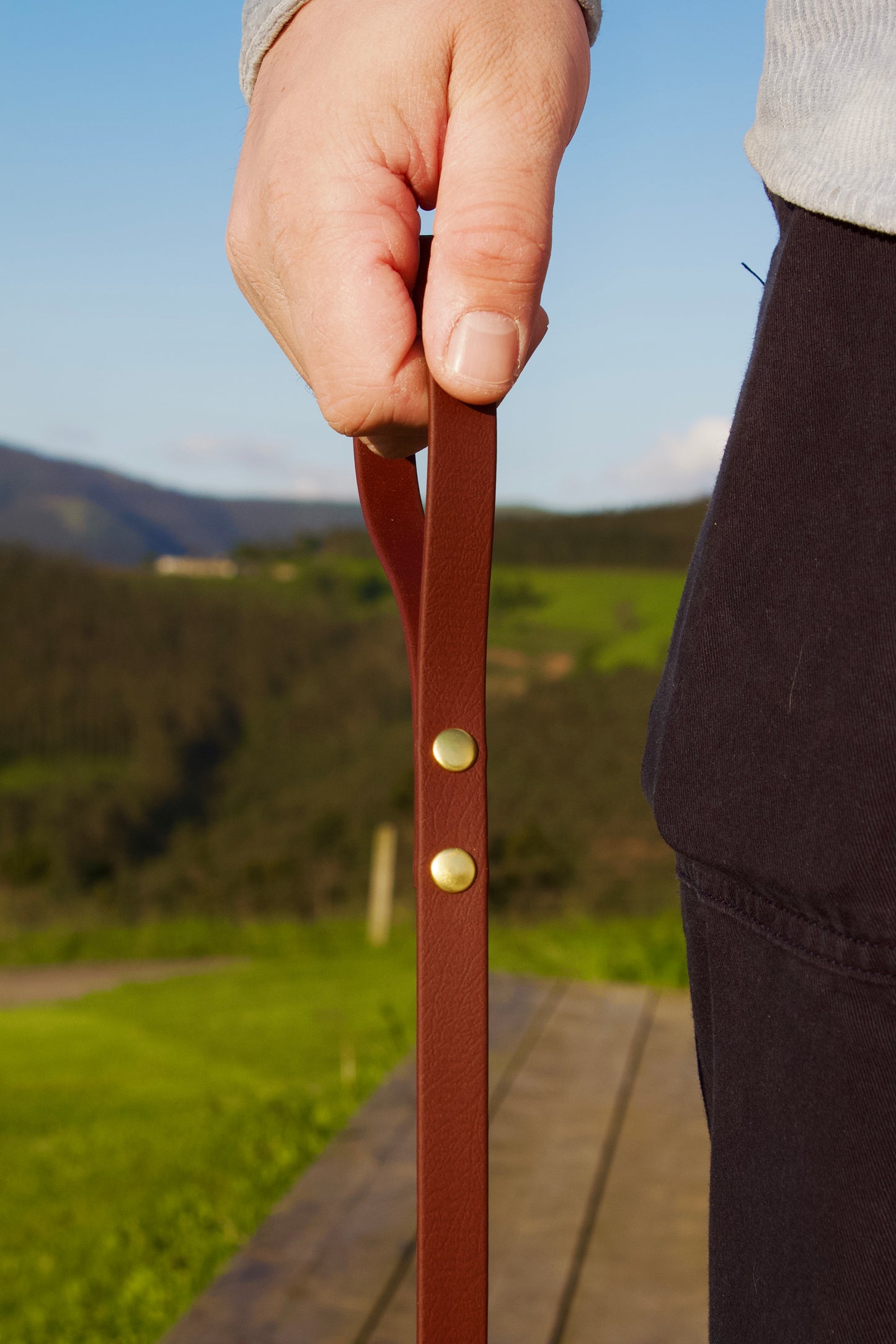 Longe 5 m avec poignée