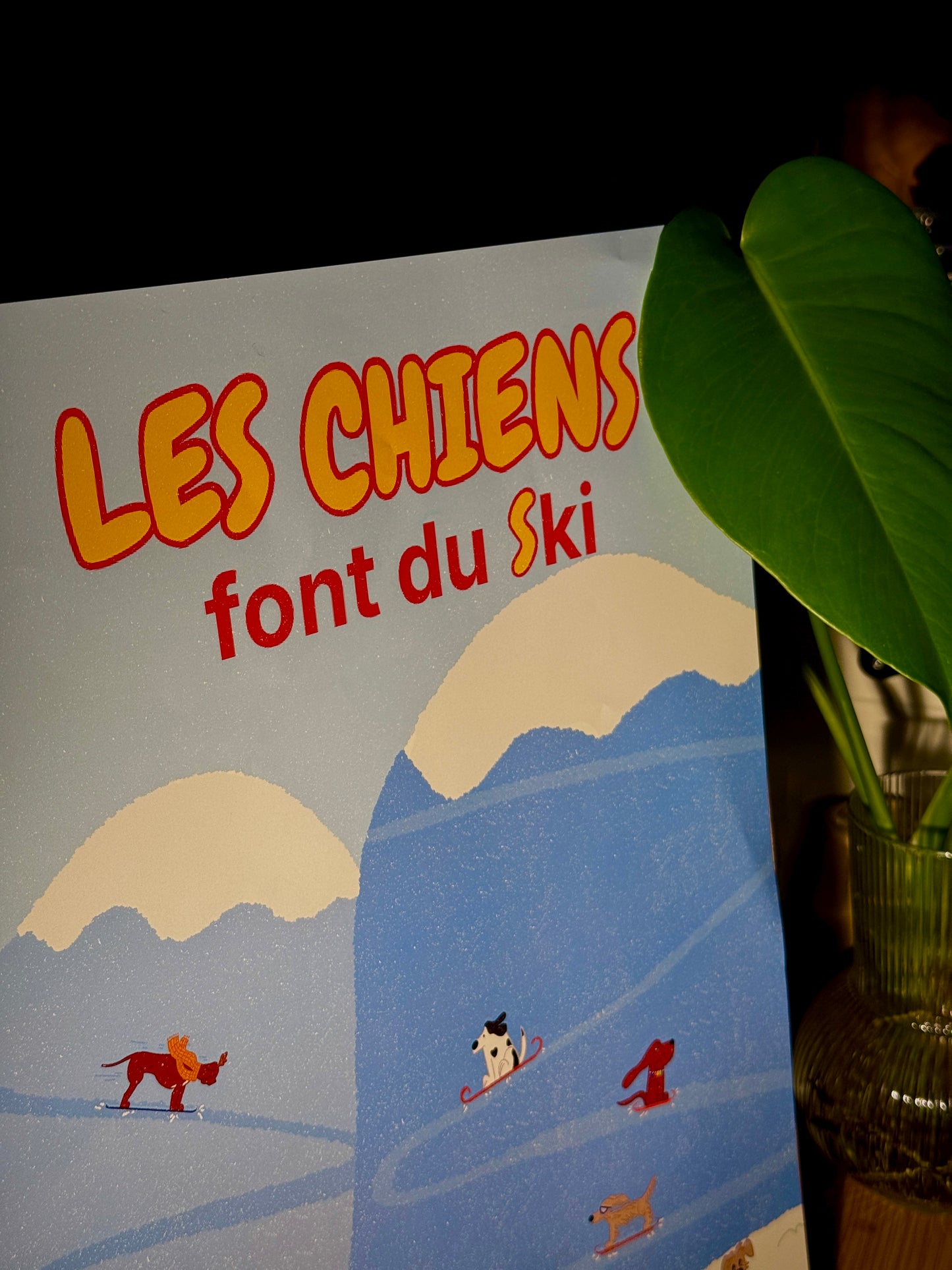 Les chiens font du ski